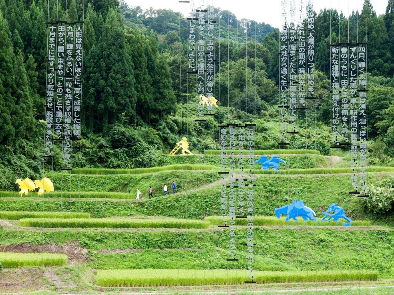 Arts + Culture tree grass outdoor habitat green pasture ecosystem natural environment meadow paddy field field rural area Forest woodland Garden flower landscape pond agriculture lawn Farm