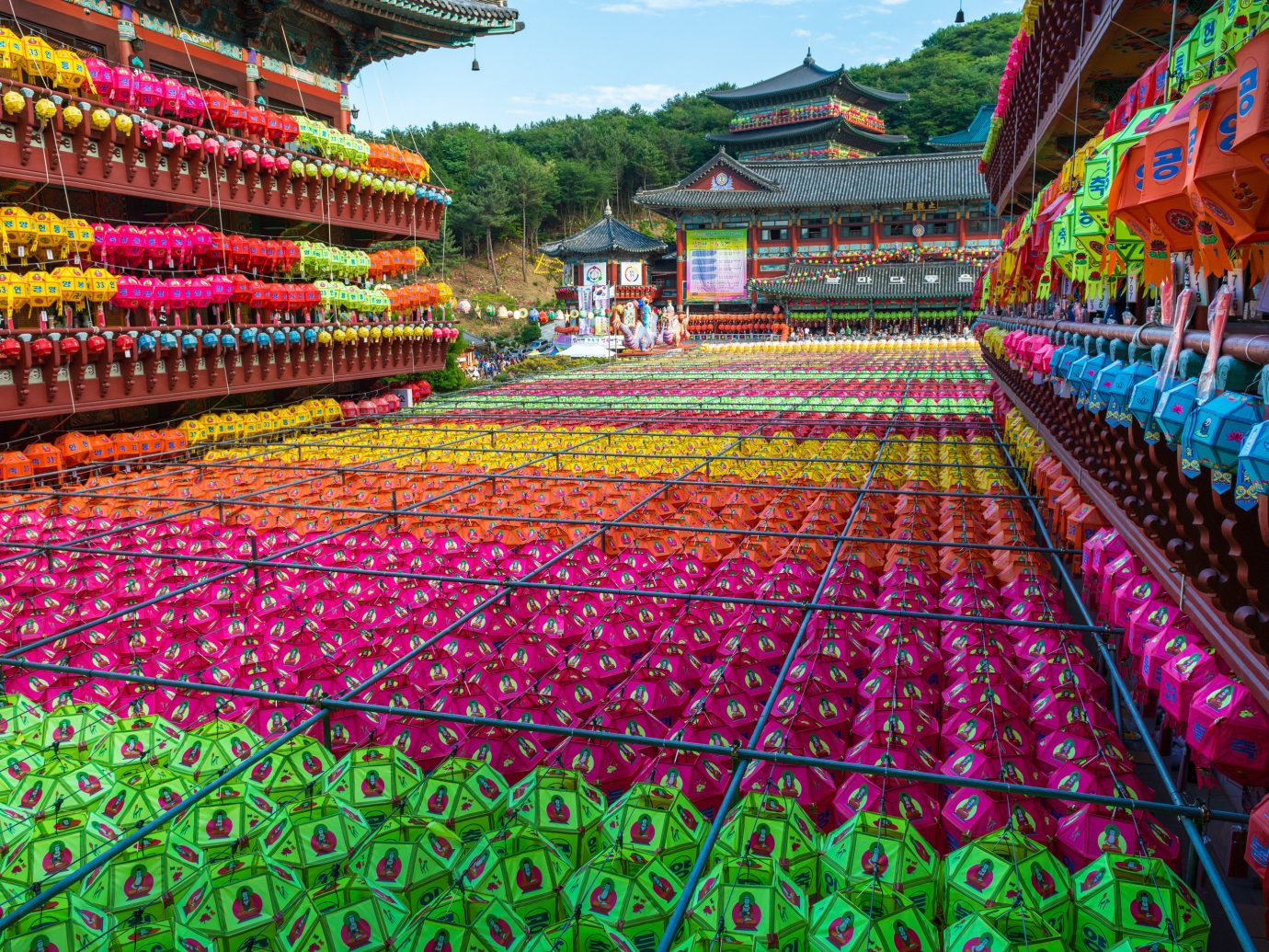 Trip Ideas temple plant leisure festival shrine flower