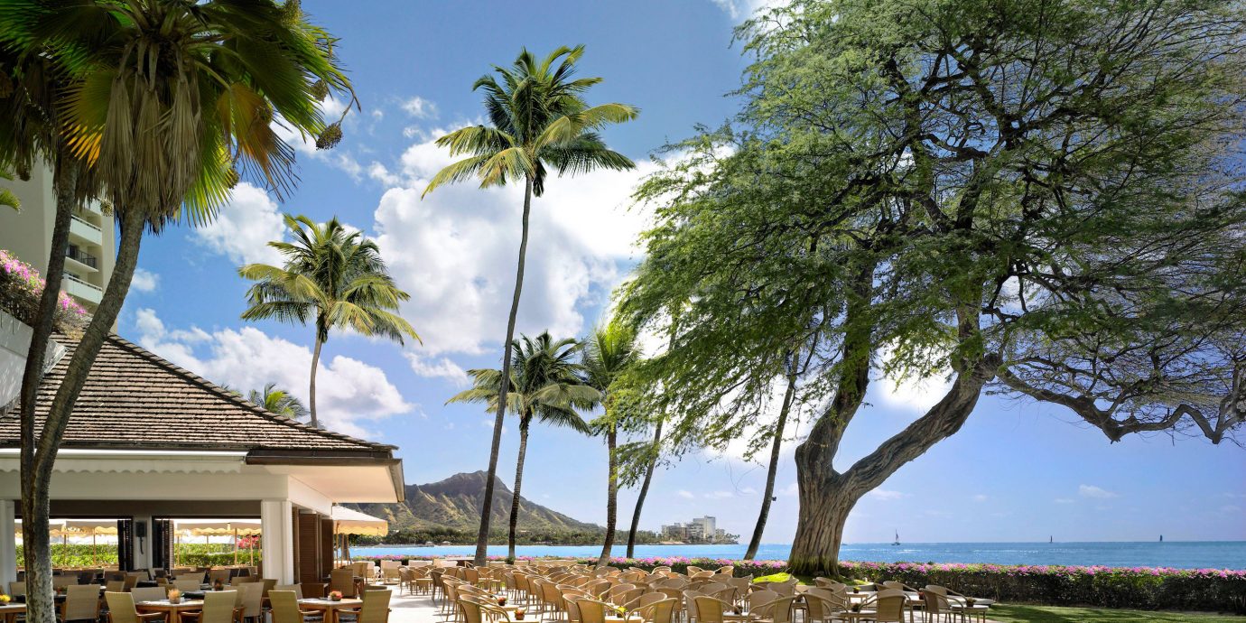 Architecture Beachfront Boutique Hotels Buildings Exterior Hawaii Honolulu Hotels Luxury Resort Scenic views Trip Ideas tree sky grass property plant arecales home woody plant residential area park Beach palm family caribbean flower lawn Villa palm