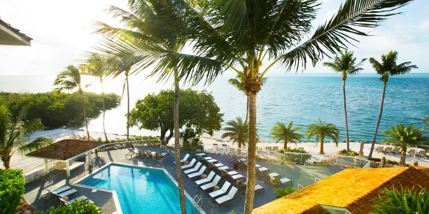 Beach Beachfront Pool Resort tree palm sky umbrella property leisure swimming pool chair caribbean arecales lawn Villa plant palm family tropics condominium shade Garden