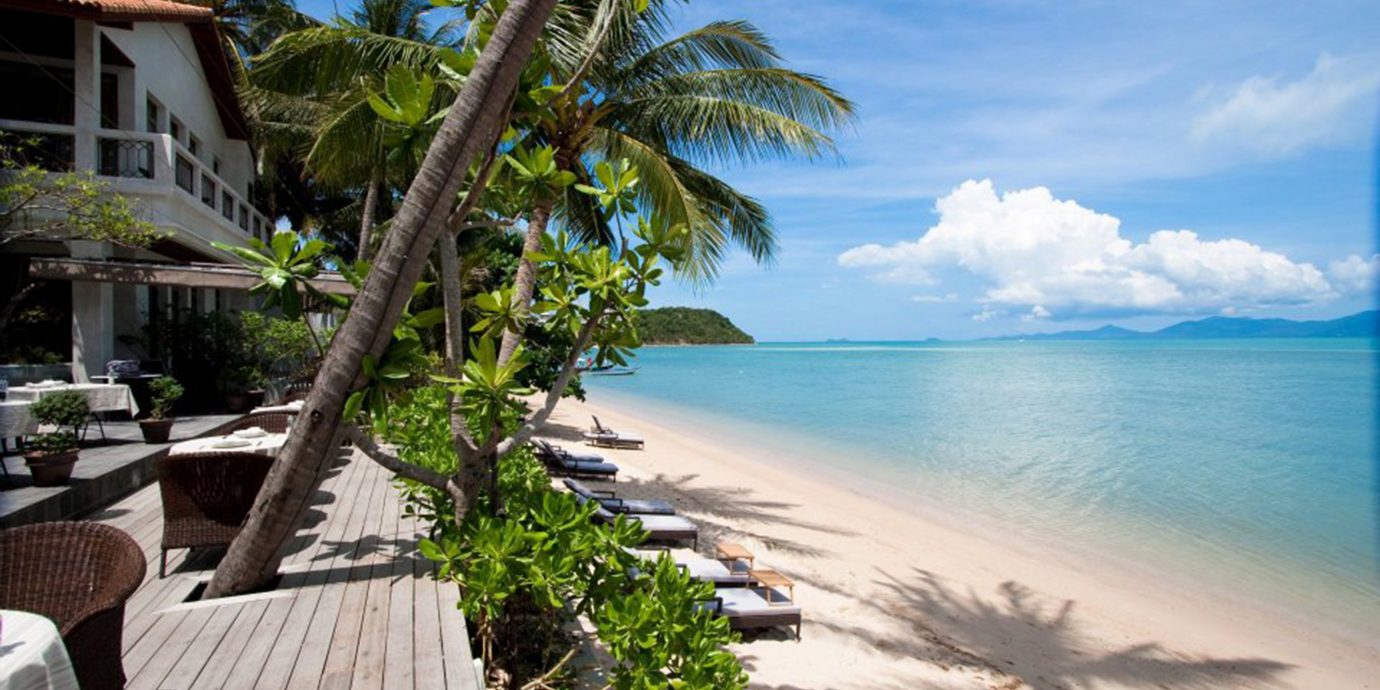 Beach Deck Honeymoon Jungle Romance Scenic views Tropical tree sky water caribbean Sea Ocean Resort arecales Coast tropics Lagoon Island shore palm lined