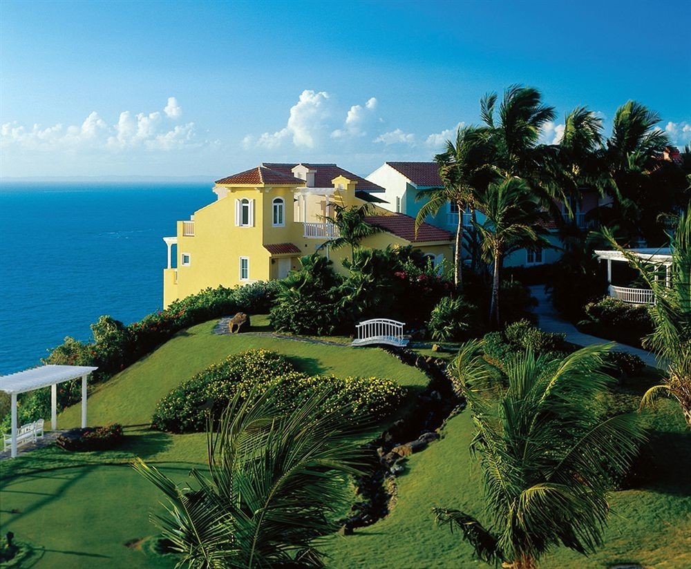 sky tree property Resort caribbean arecales Sea tropics Coast Villa mansion Beach Island cape Jungle plant lush day