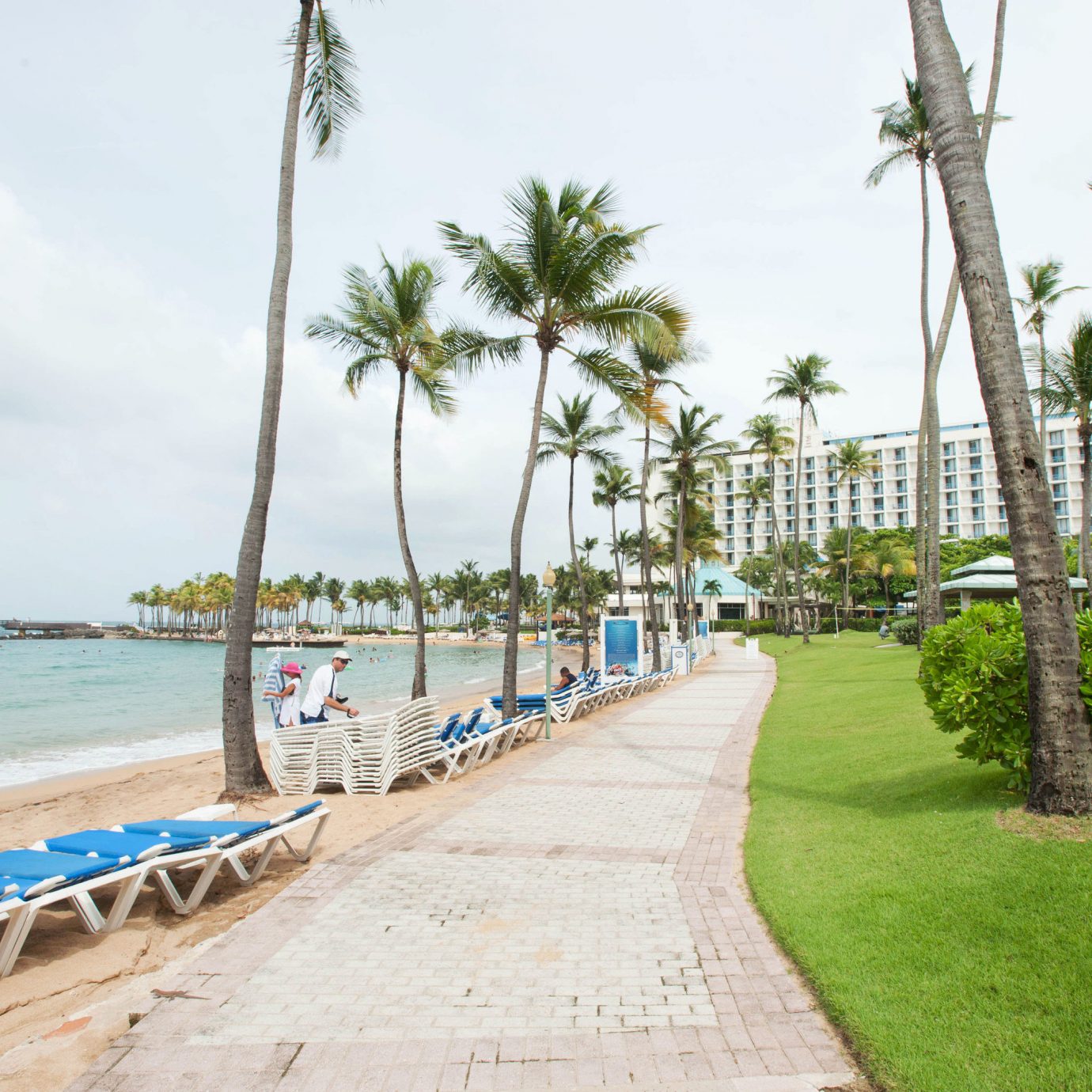 sky tree ground walkway Beach Resort boardwalk arecales palm Coast caribbean plant Sea shore lined