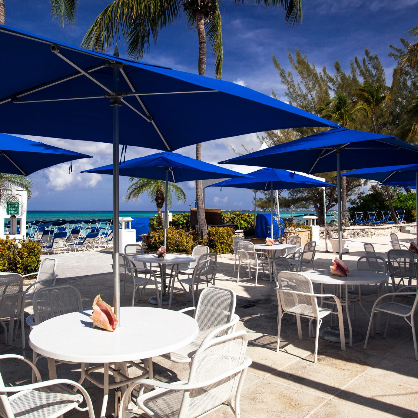Beach Deck Dining Drink Eat Modern Outdoors tree umbrella chair restaurant Resort vehicle caribbean lawn marina blue set shade day