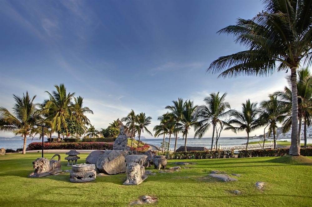 grass tree sky palm Resort plant arecales Beach palm family lawn tropics grassy Garden shade lush