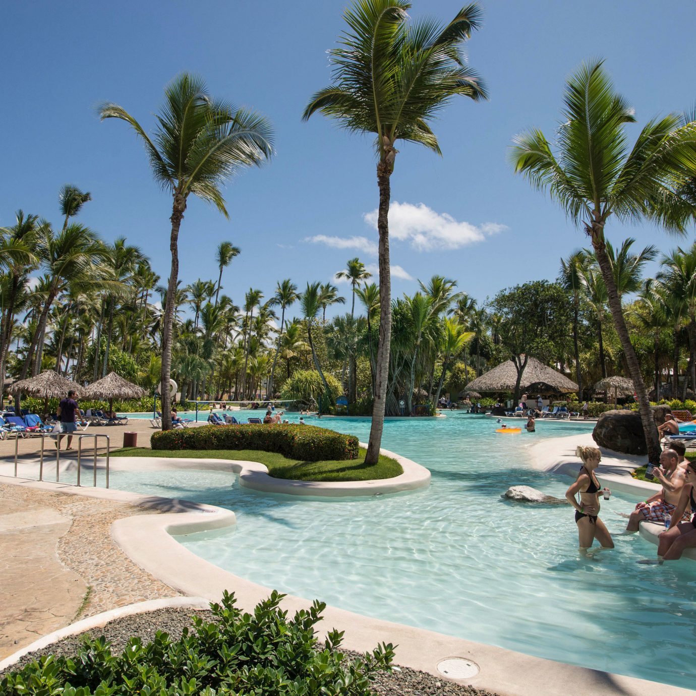 tree sky palm leisure swimming pool Resort Pool Beach arecales caribbean resort town Sea Lagoon Water park tropics lined plant shore swimming