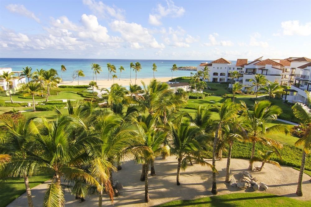 sky Resort property caribbean Nature Beach arecales plant palm tree shore