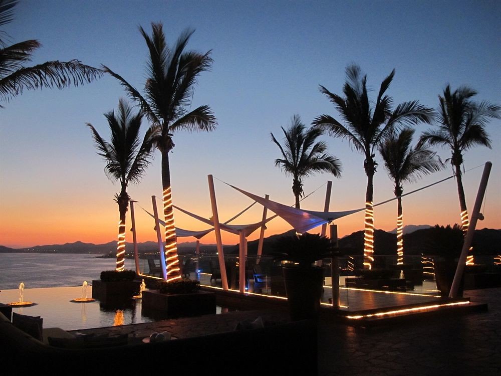 sky tree palm Sunset Ocean Beach arecales Sea dusk Resort evening marina plant palm family dock shore sandy