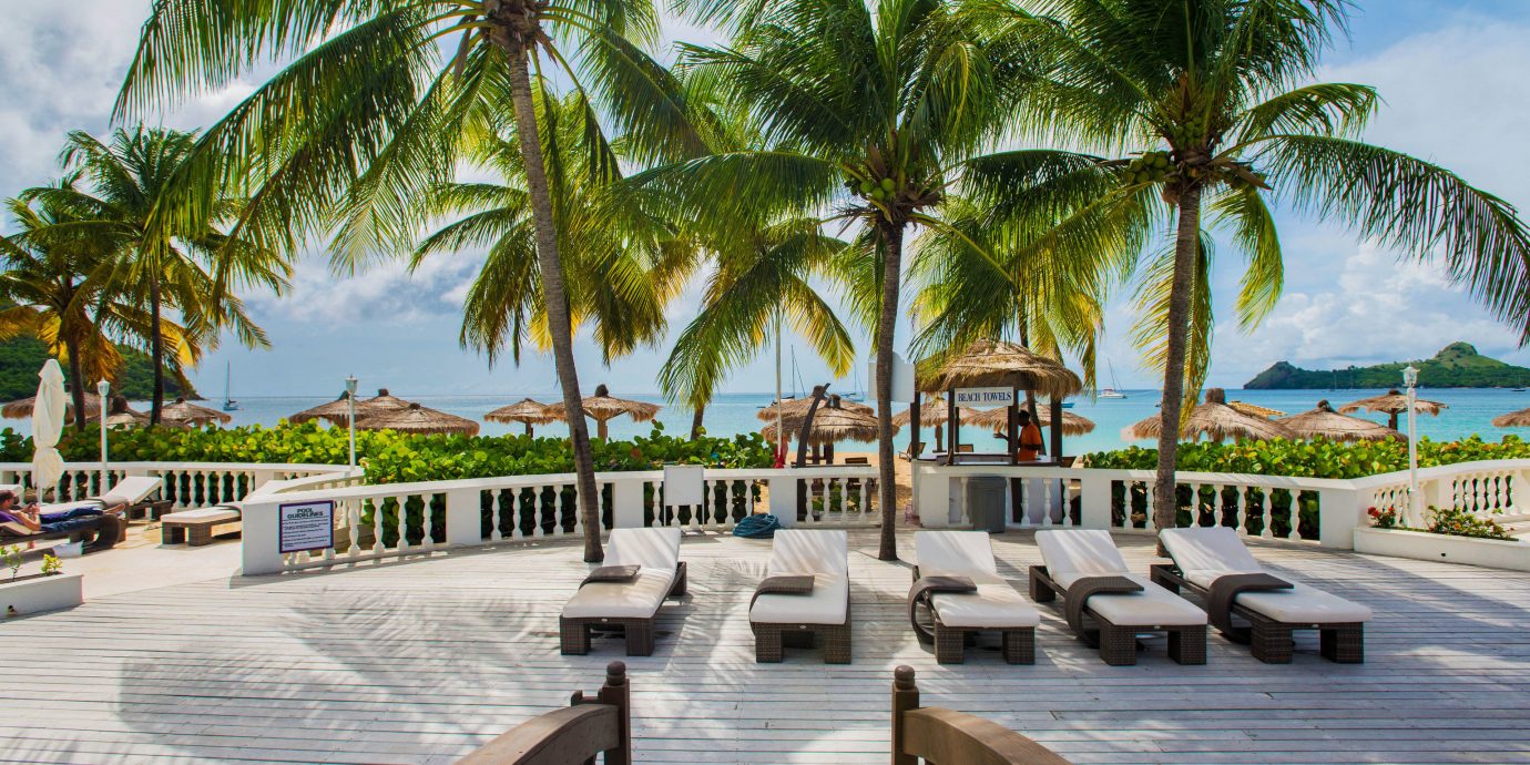 tree palm sky ground Resort swimming pool walkway arecales Beach plant caribbean palm family boardwalk Pool lined