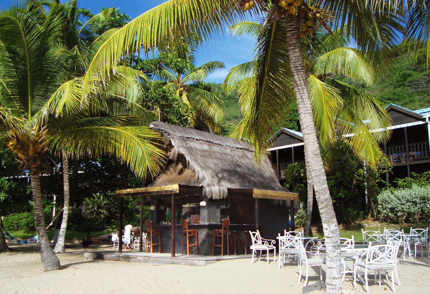 tree Resort Beach arecales caribbean palm family palm restaurant tropics plant lined shade