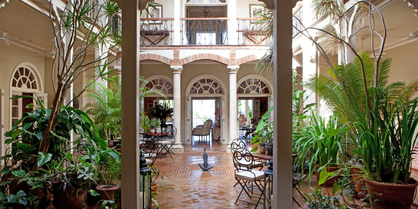 Boutique Dining Drink Eat Luxury Romance Romantic plant tree building Courtyard home Resort mansion Garden hacienda