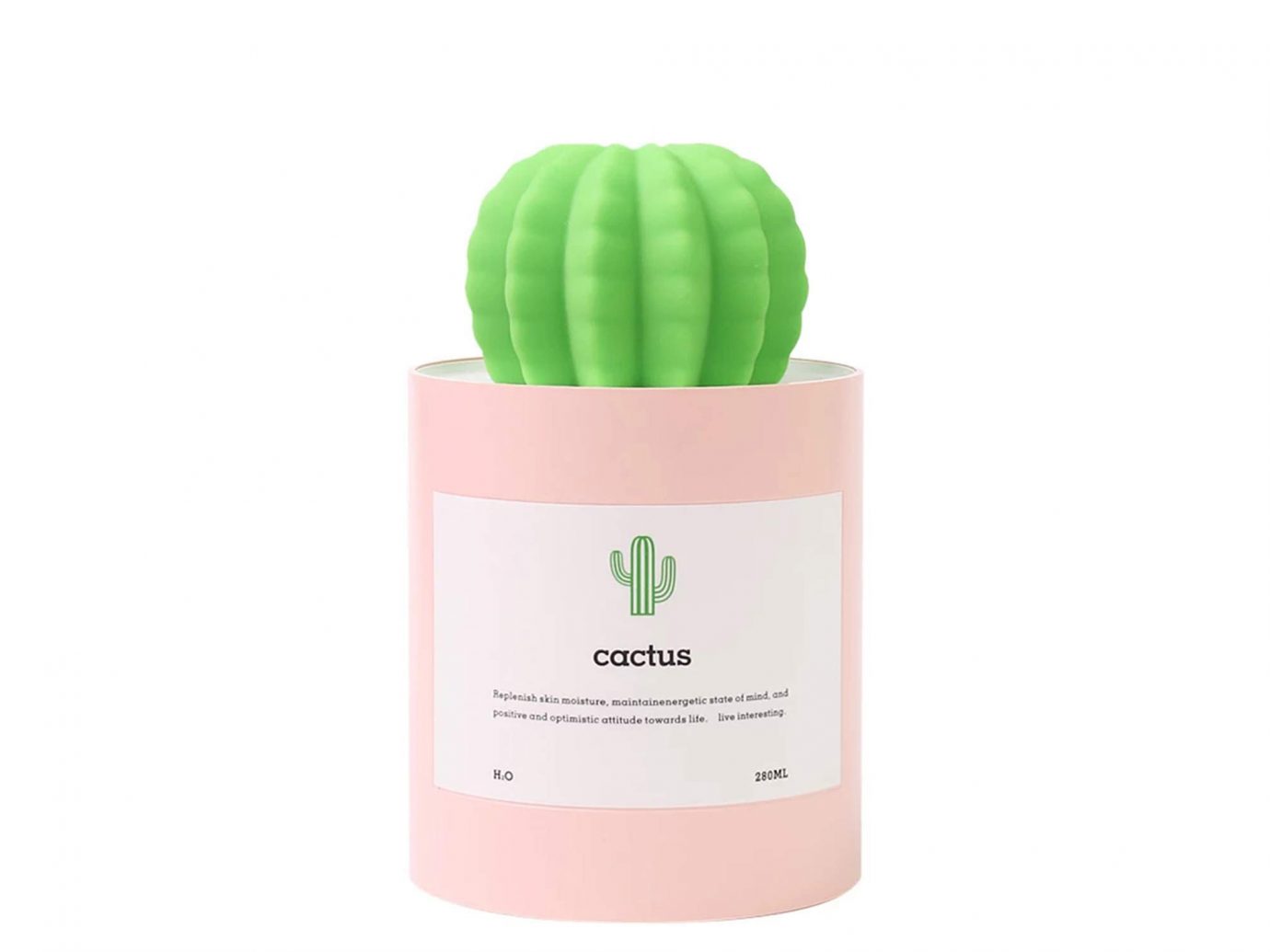Aoloda Mini Cactus Humidifier