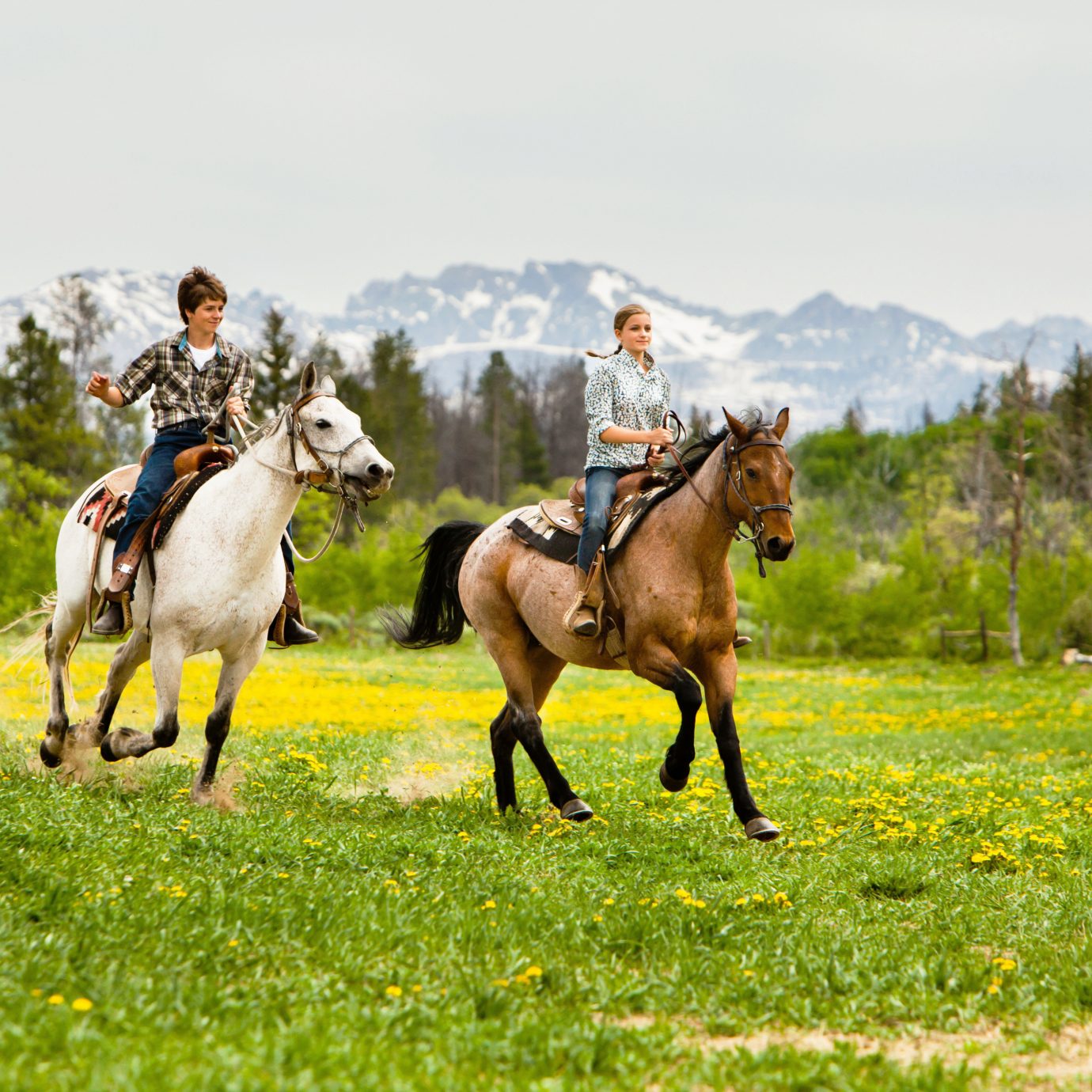 Country Mountains Outdoor Activities Ranch Rustic grass sky field endurance riding horse pasture trail riding equestrianism grassland mare eventing mustang horse equestrian sport animal sports horse like mammal english riding grazing meadow mammal sports stallion herd grassy