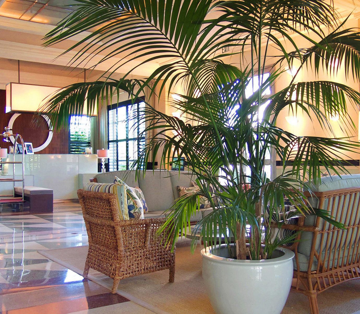 Lobby property condominium plant Resort home restaurant living room Villa Dining arecales tree