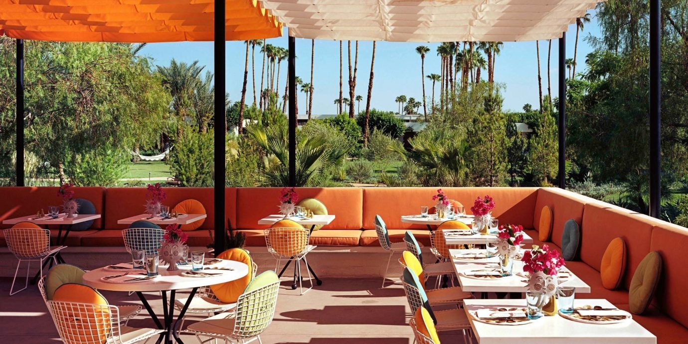 tree umbrella chair restaurant Dining Resort function hall orange set