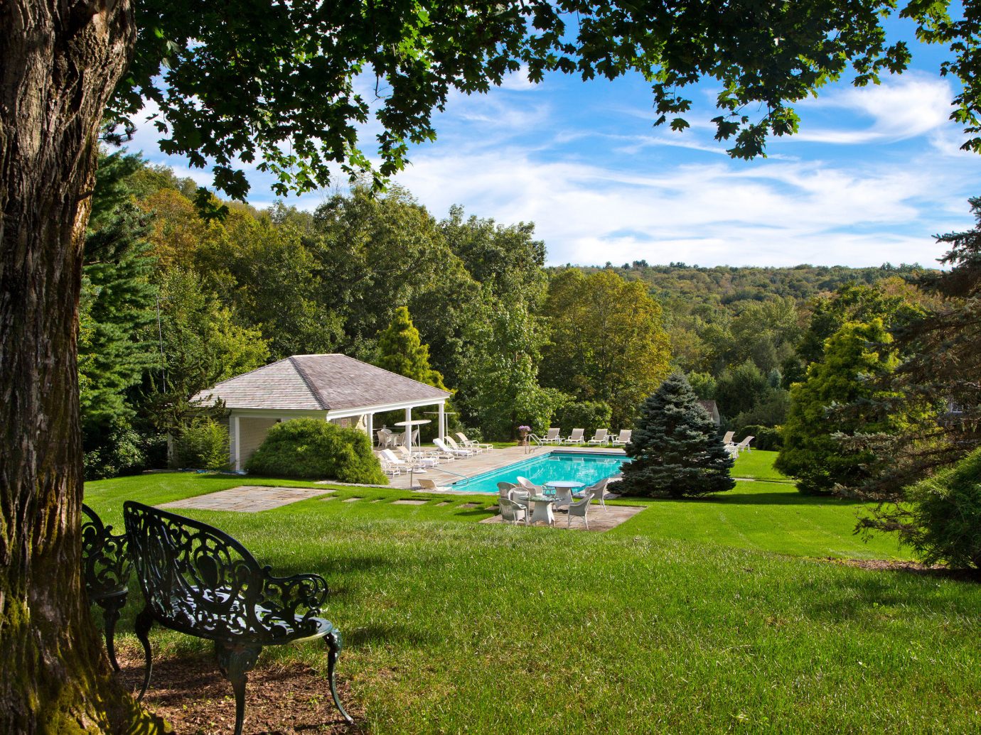 Country Pool Romance Scenic views Trip Ideas Weekend Getaways tree grass outdoor park Nature green woodland estate backyard Garden grassy outdoor recreation meadow Forest rural area lawn camping yard seat area lush shade
