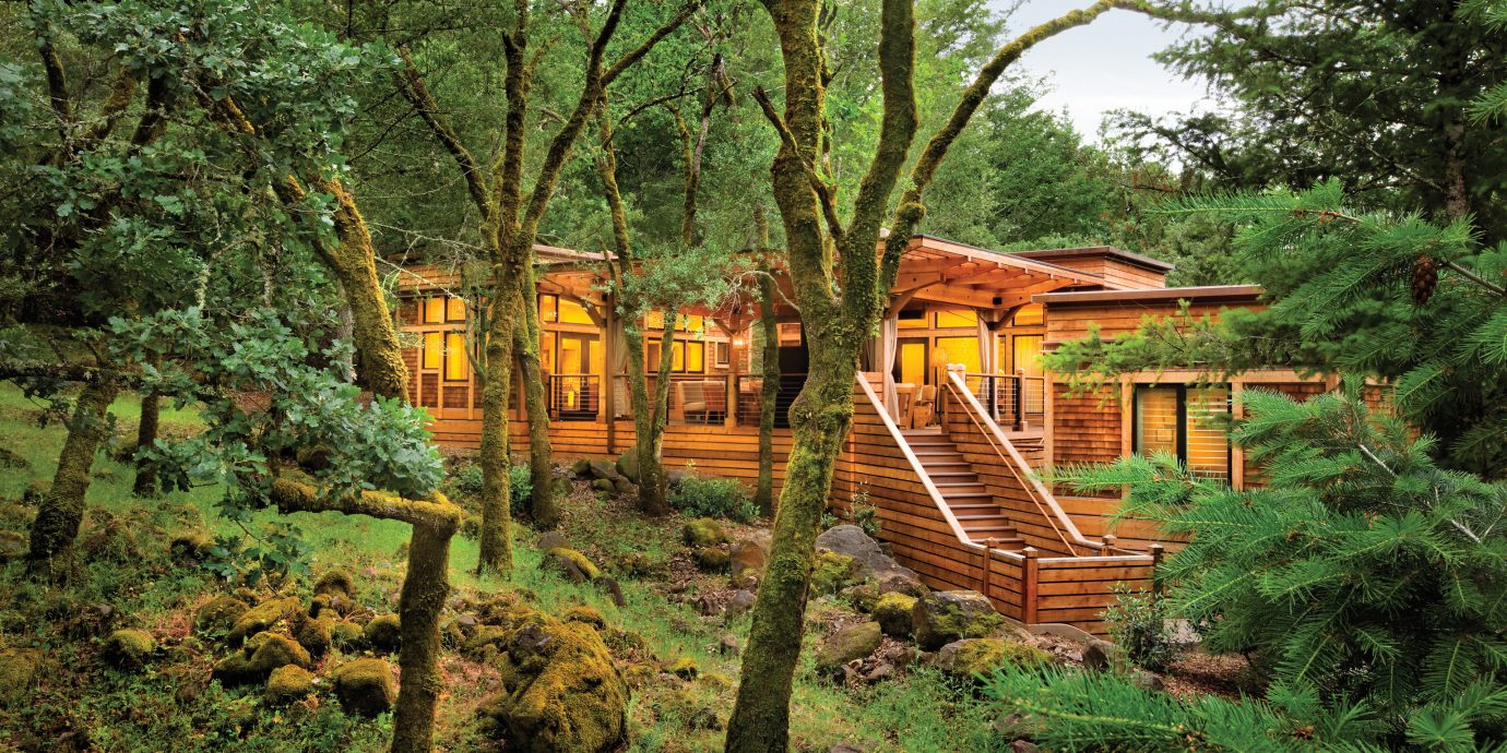 Eco Exterior Food + Drink Health + Wellness Hotels Luxury Outdoors Ranch Romance Romantic Rustic Spa Retreats Trip Ideas Wellness tree grass park Forest plant Jungle rural area log cabin woodland hut Garden outdoor structure rainforest lush wooded surrounded shade