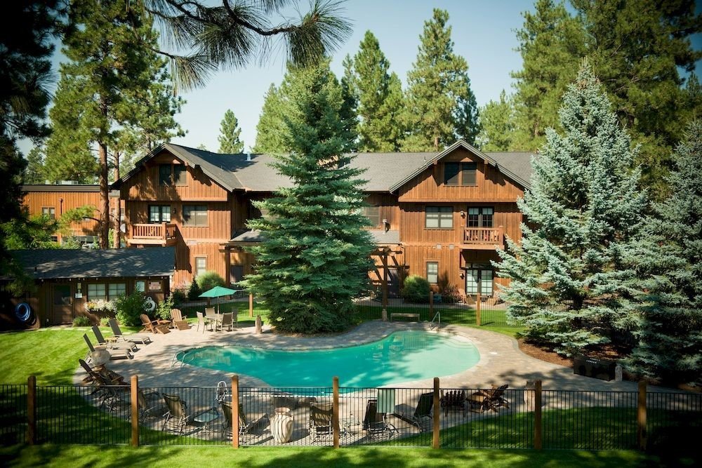 Exterior Lodge Pool Rustic tree house property Resort home cottage backyard Villa eco hotel old surrounded plant residential Forest Garden wooded lush