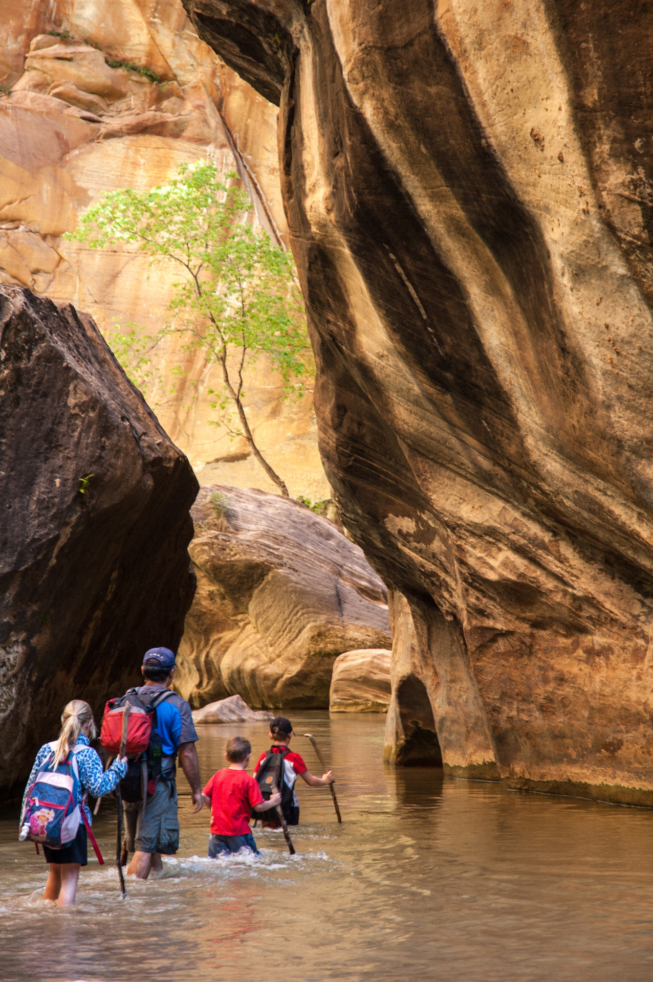 Health + Wellness Trip Ideas outdoor rock landform geographical feature Nature cave canyon Adventure outdoor recreation wadi recreation formation rock climbing tree stone