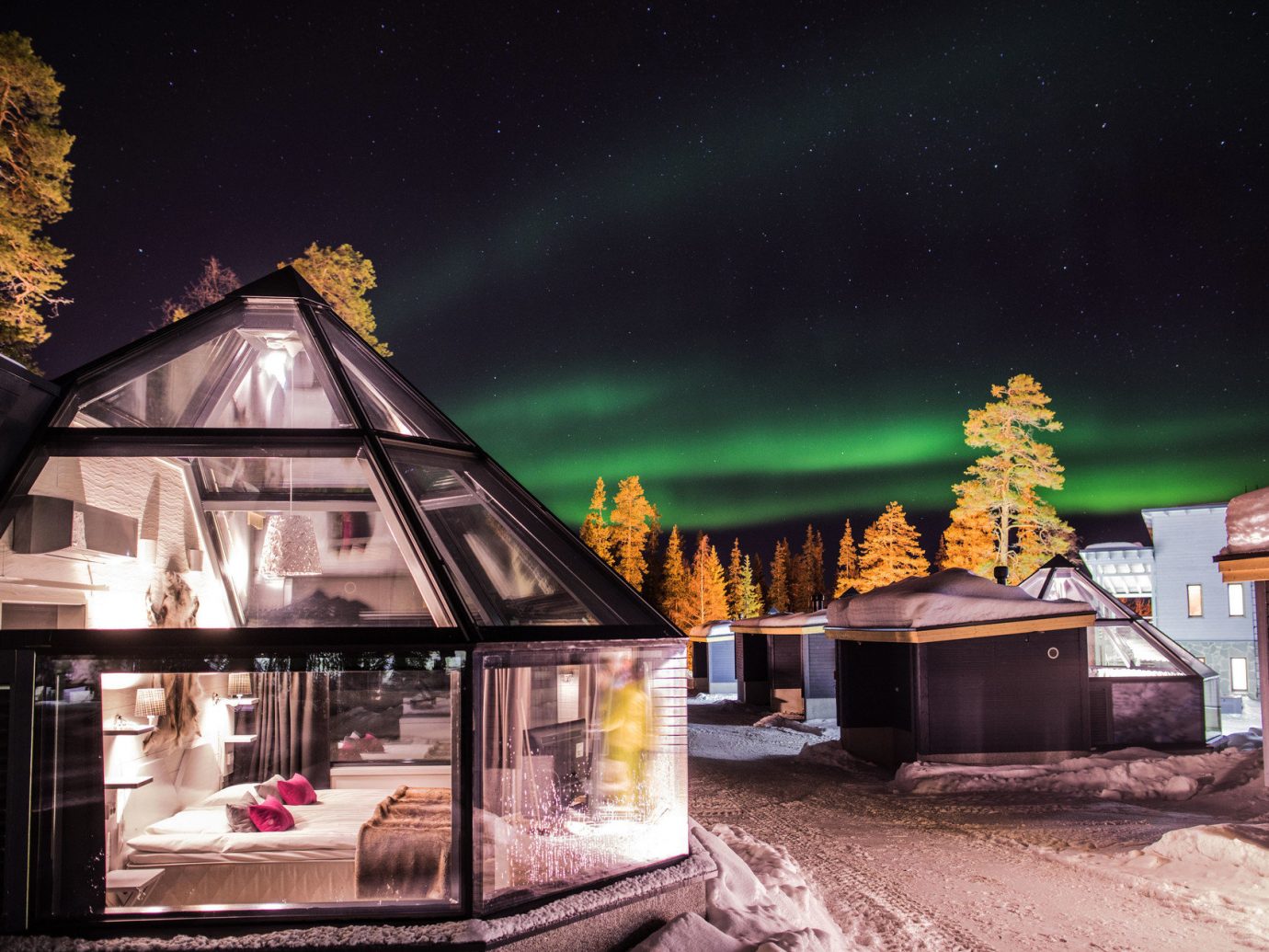 colorful Exterior glass building isolation lights Luxury majestic night night lights northern lights remote serene skylight snow trees Trip Ideas unique Winter house screenshot