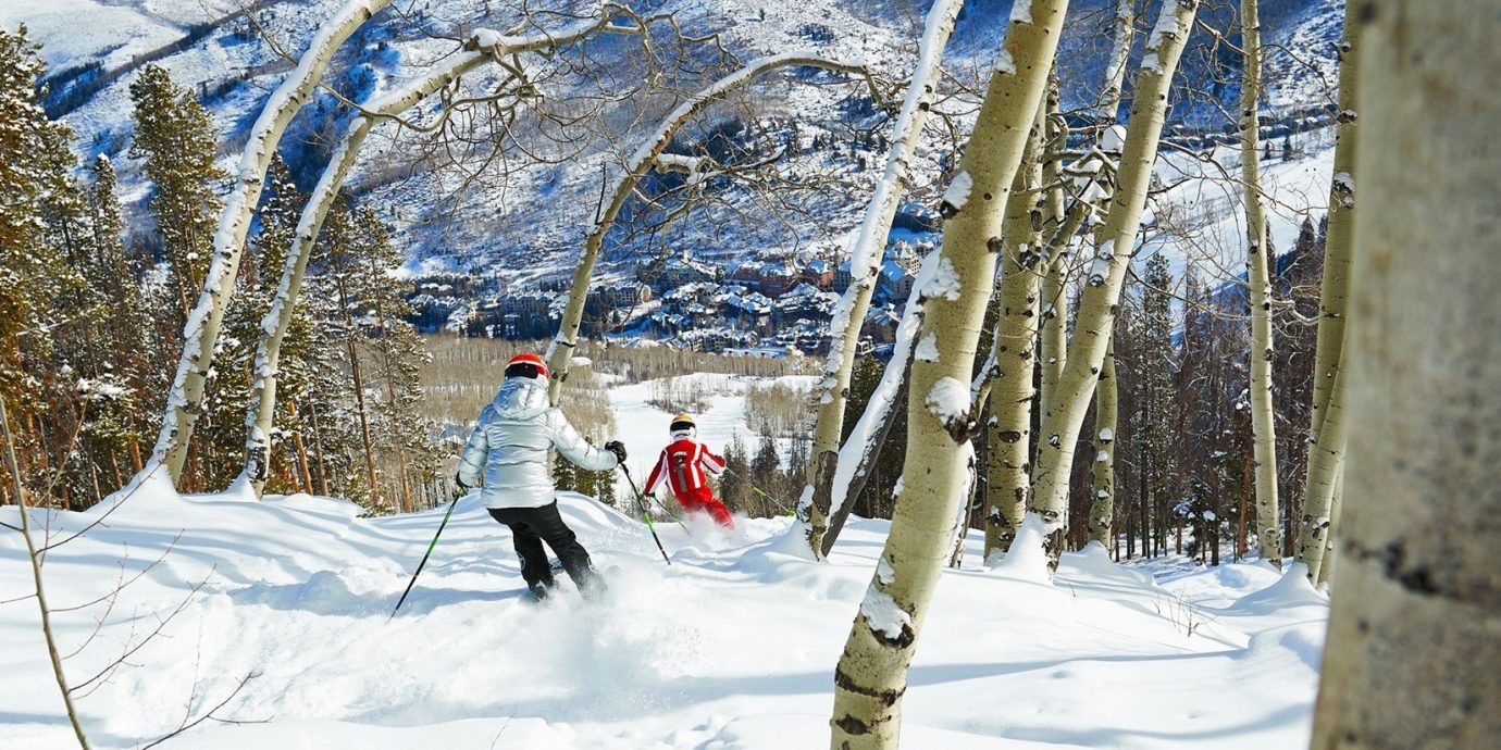 Food + Drink snow outdoor skiing tree Winter footwear person weather season freezing slope snowshoe cross spring