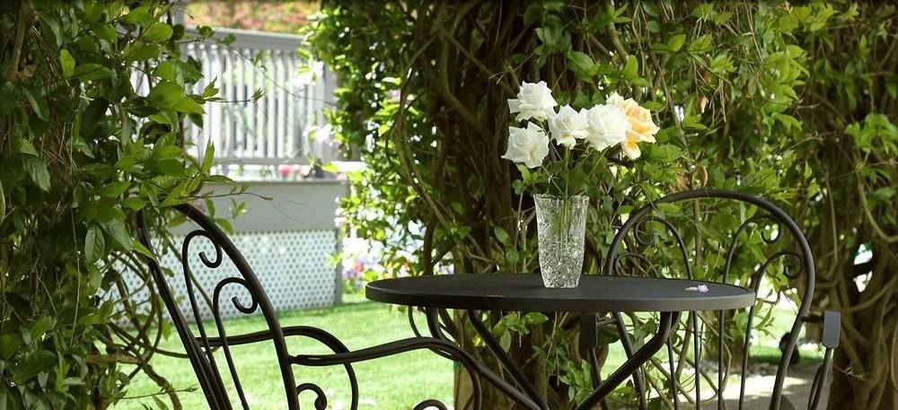 tree flower porch flora botany plant floristry Garden backyard lighting yard outdoor structure cottage dining table