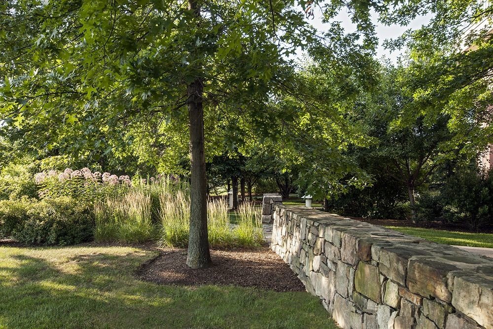 tree grass property park woodland Garden backyard yard lawn plantation shrub plant stone walkway