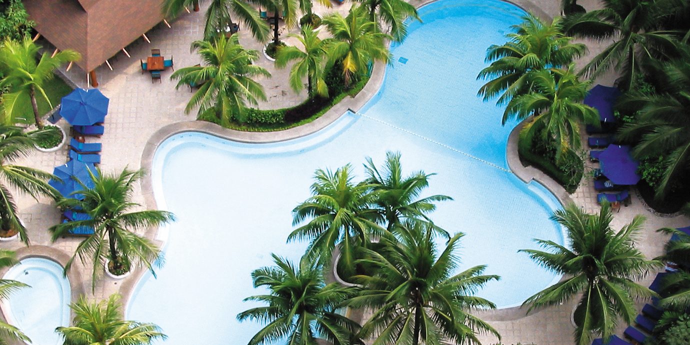 Outdoors Play Pool Resort tree plant palm ecosystem arecales condominium swimming pool Jungle caribbean Garden tropics bushes porcelain