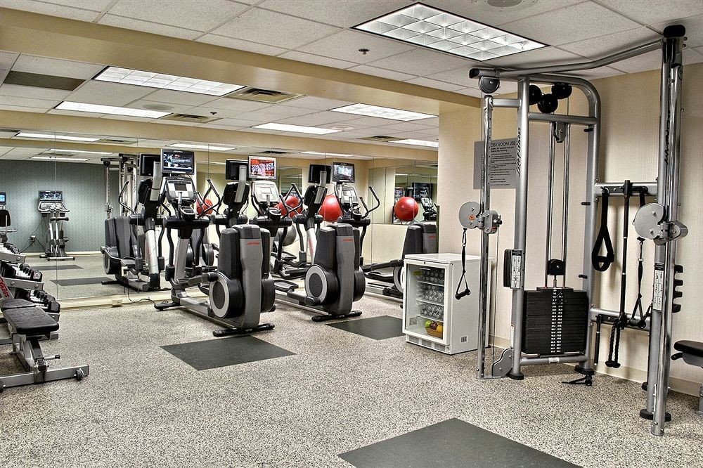 structure gym sport venue muscle