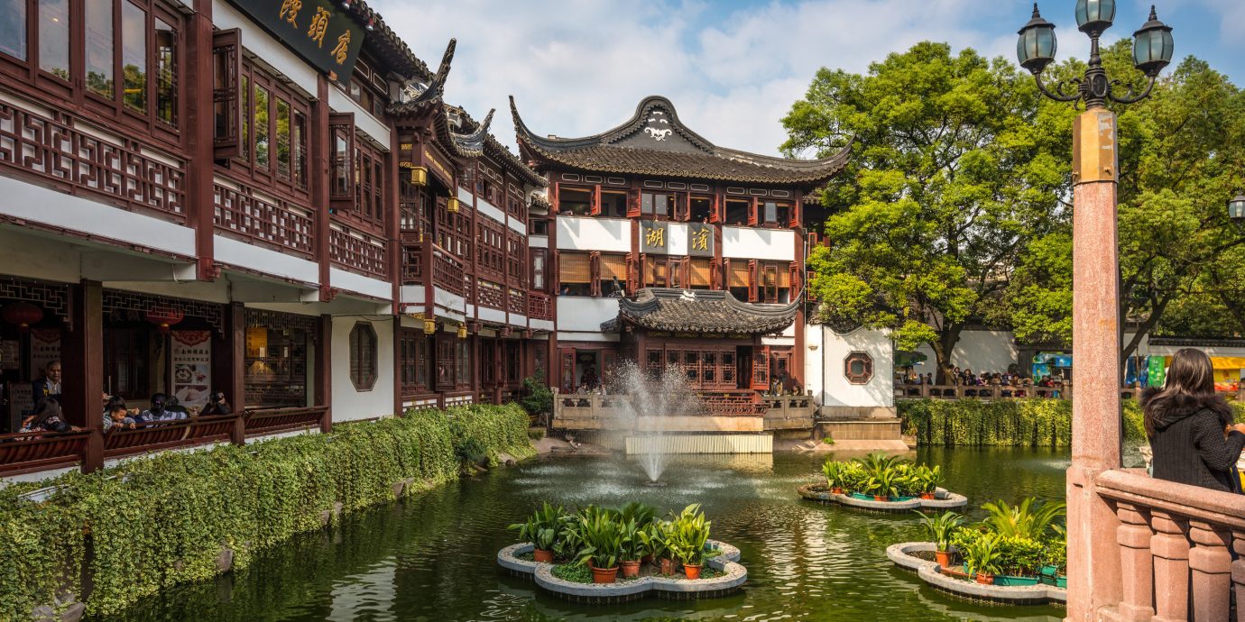 China china rose Shanghai Travel Tips Trip Ideas chinese architecture waterway reflection Town Canal water tourist attraction tree City pagoda real estate tourism plant leisure sky outdoor structure watercourse pond