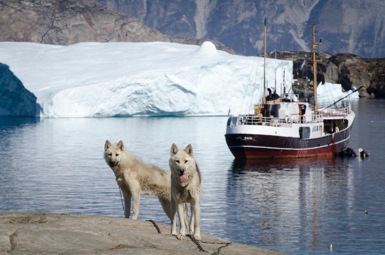 Luxury Travel Trip Ideas water outdoor Dog Boat snow mountain arctic vehicle Sea ice arctic ocean