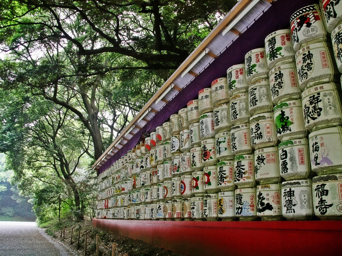 Japan Trip Ideas tree wall grass plant