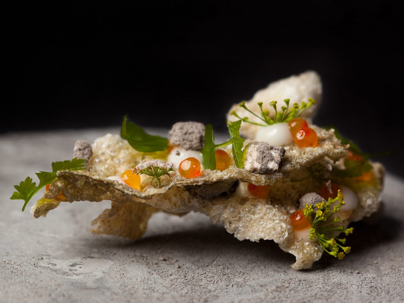 Food + Drink food piece dish sushi cuisine miniature produce macro photography slice