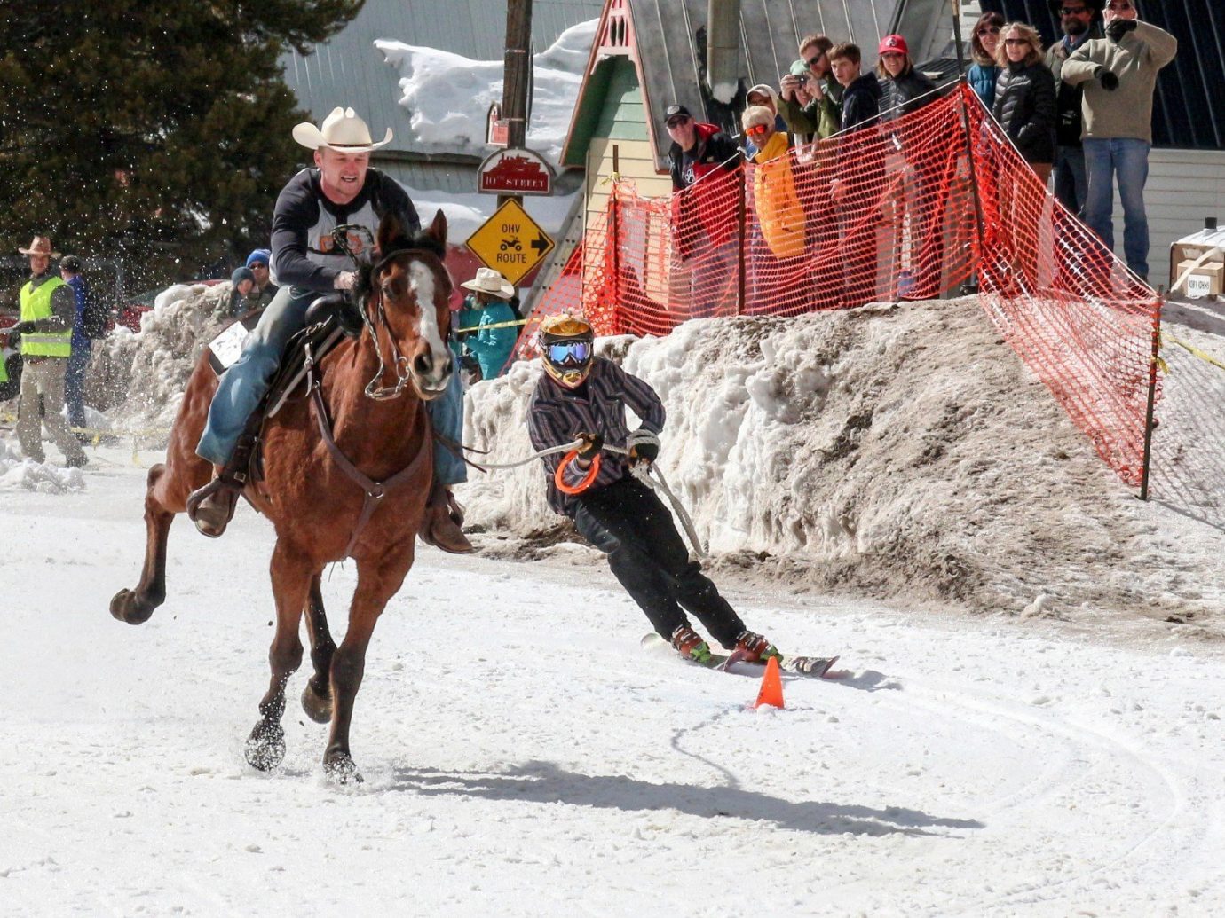 Offbeat Trip Ideas outdoor snow sports animal sports equestrian sport equestrianism tradition racing
