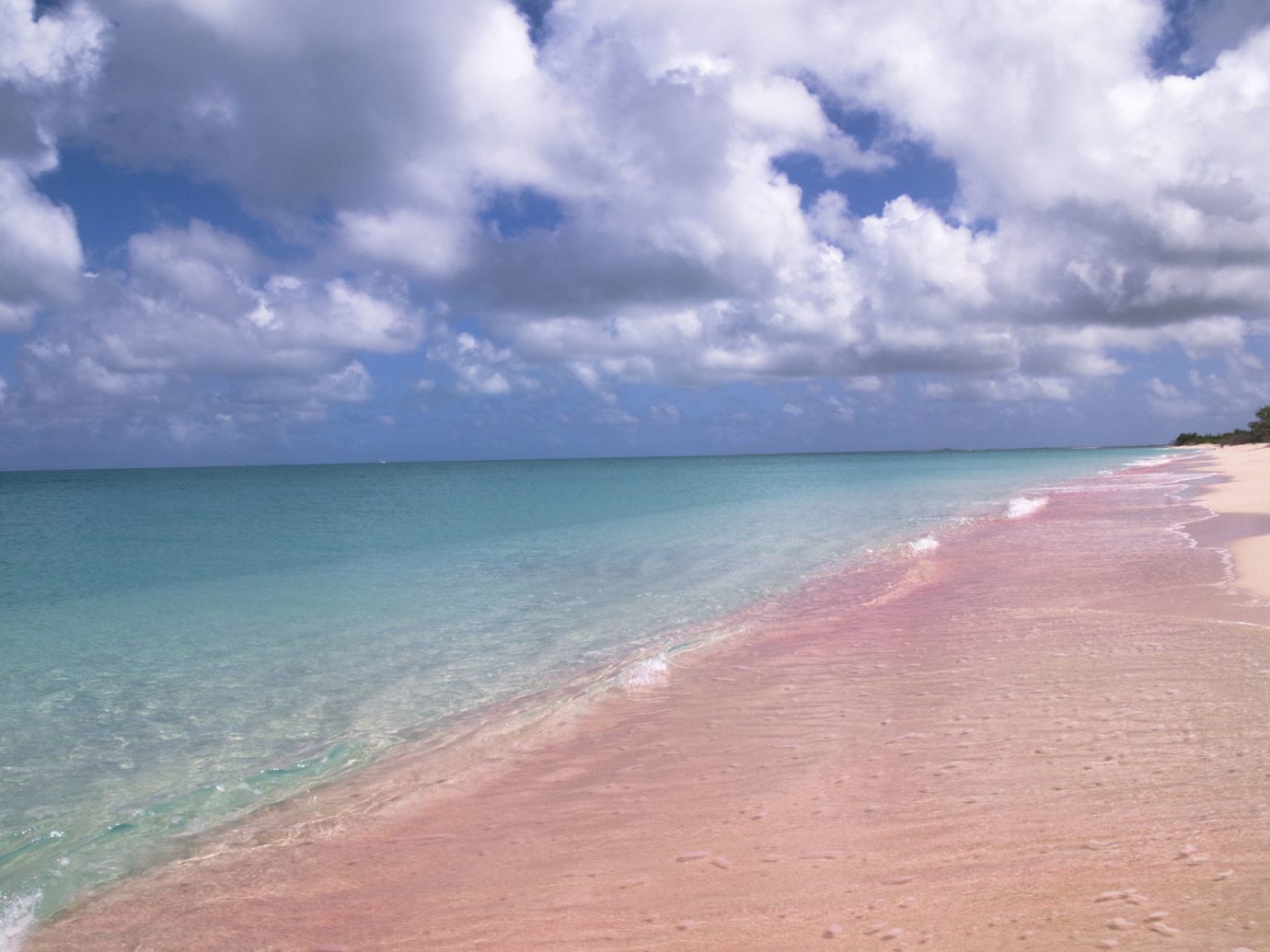 Pink Sands Beach in the Bahamas