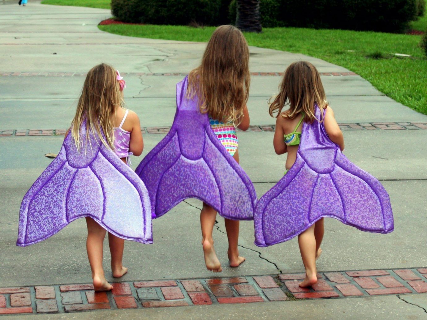 Trip Ideas outdoor grass ground person girl little people dress child purple