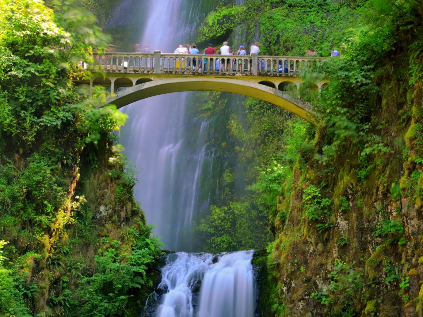 Trip Ideas Weekend Getaways tree Nature outdoor Waterfall water body of water watercourse water feature Forest River rainforest bridge reflection wasserfall traveling Jungle autumn waterway surrounded wooded