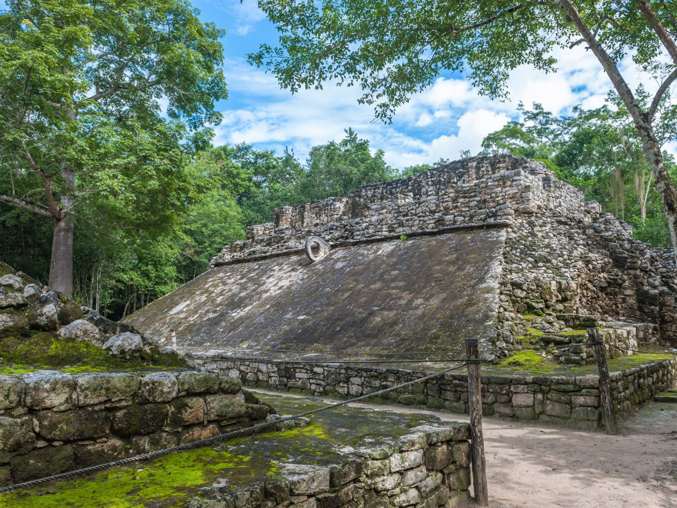 City Mexico Trip Ideas Tulum tree outdoor rock archaeological site stone Ruins ancient history outcrop maya civilization stone wall landscape plant maya city Jungle old area surrounded