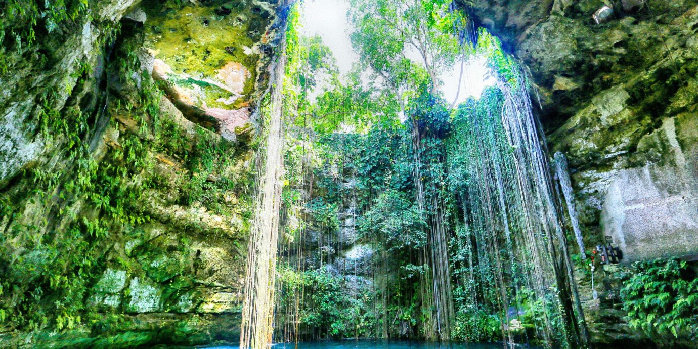 Outdoors + Adventure tree water habitat Waterfall outdoor Nature body of water green natural environment River Forest botany rainforest water feature Jungle reflection woodland tropics surrounded