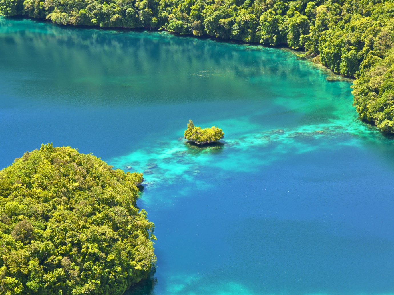 Islands Offbeat Trip Ideas tree water reef landform body of water River Nature Lake Lagoon Sea surrounded