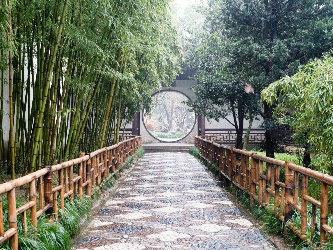 Offbeat tree Fence outdoor walkway bridge plant Forest Garden waterway woodland Jungle area lined surrounded