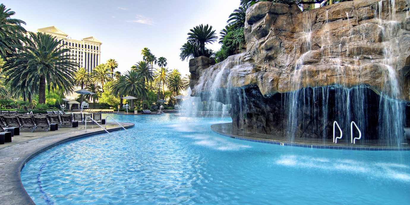 Lounge Luxury Modern Pool tree Nature water swimming pool Waterfall water feature Resort resort town surrounded