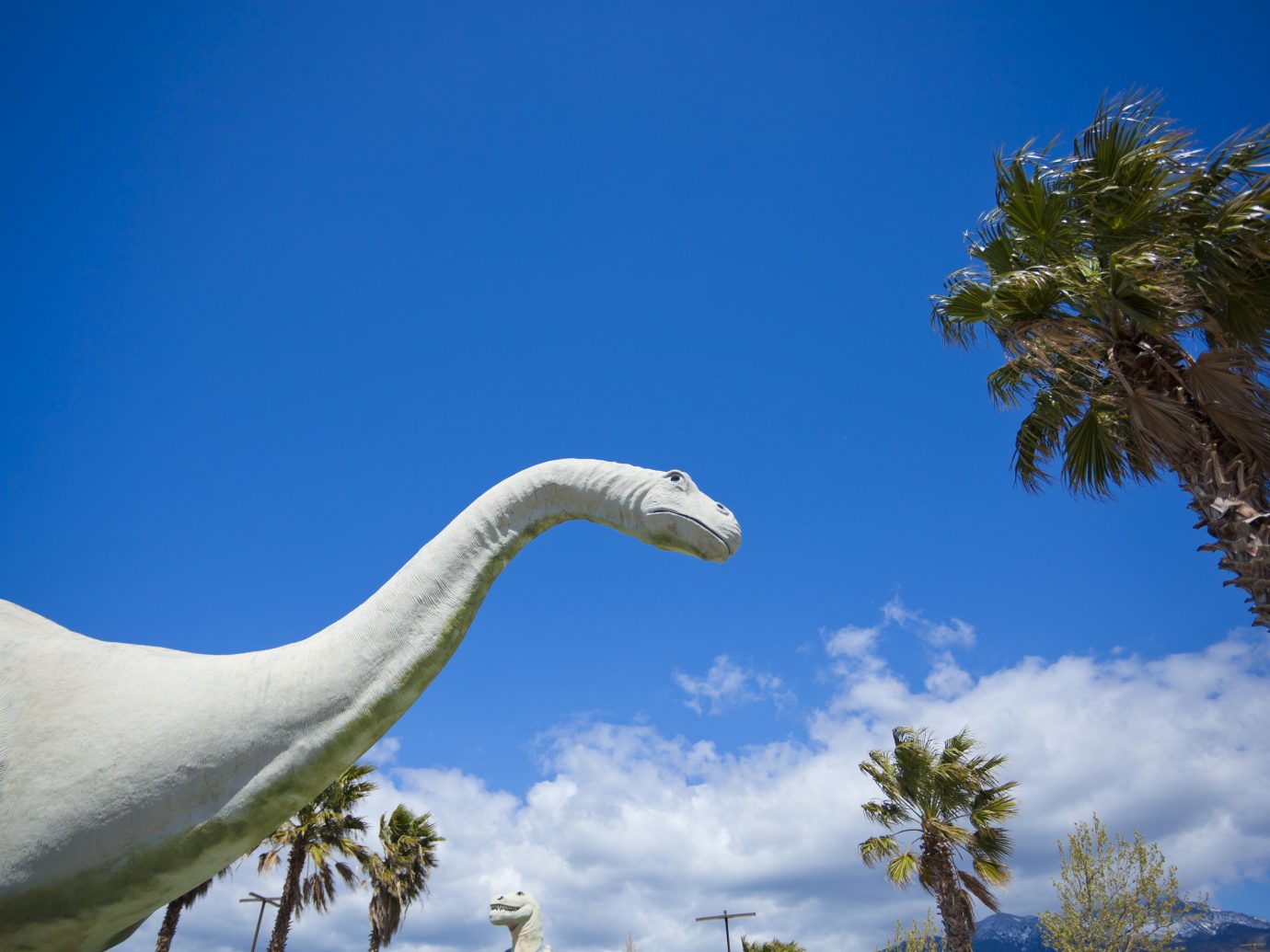 Cabazon Dinosaurs outside Palm Springs