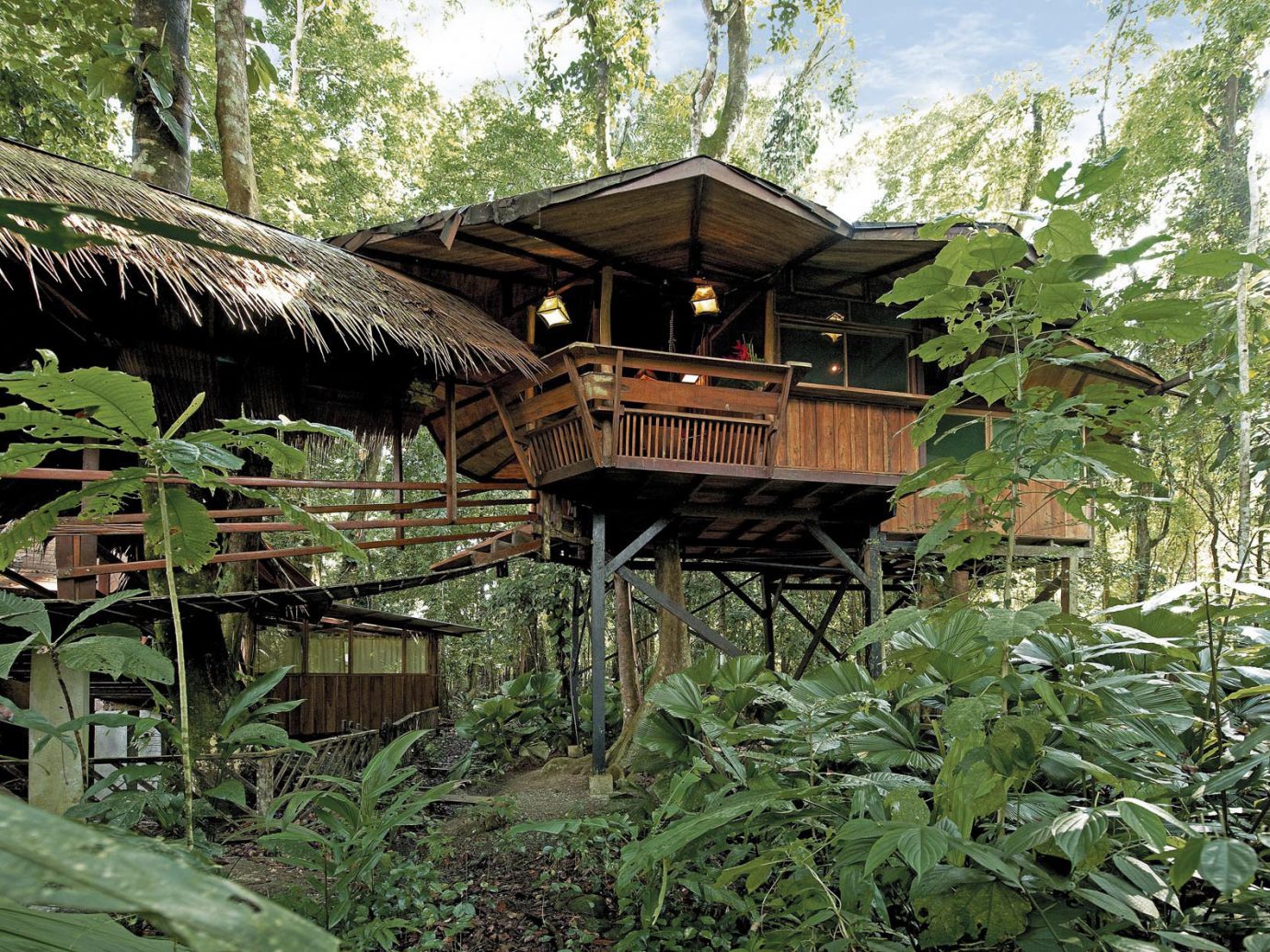 View of a cabin at Tree House Hotel in Punta Uva Costa Rica