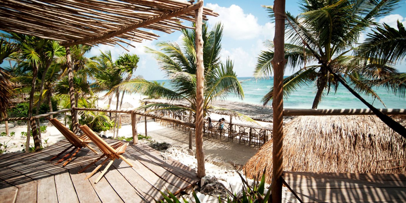 Beachfront Eco Hotels Island Patio Solo Travel Trip Ideas tree outdoor bed Resort property plant palm vacation wooden arecales Beach tropics estate walkway palm family caribbean park Jungle area Garden colorful sunny furniture bushes surrounded shade