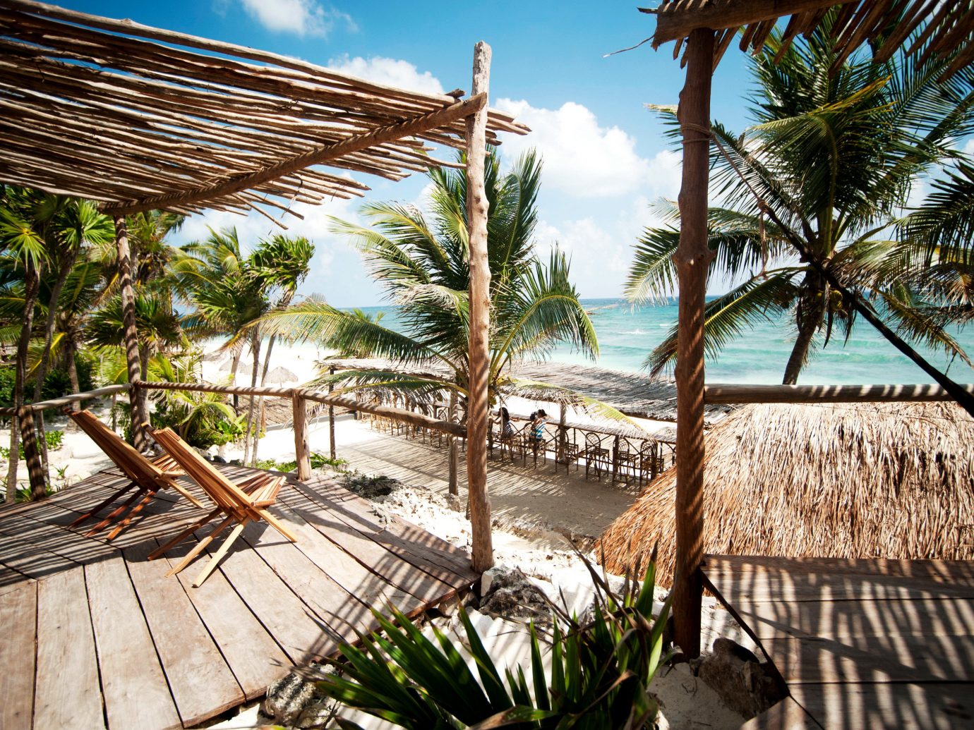 Beachfront Eco Hotels Island Patio Solo Travel Trip Ideas tree outdoor bed Resort property plant palm vacation wooden arecales Beach tropics estate walkway palm family caribbean park Jungle area Garden colorful sunny furniture bushes surrounded shade