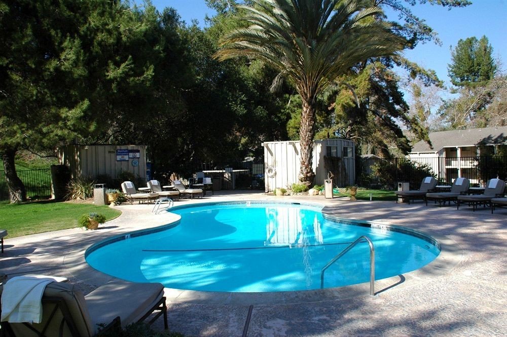 tree Pool swimming pool property leisure Resort backyard Villa trampoline blue outdoor object