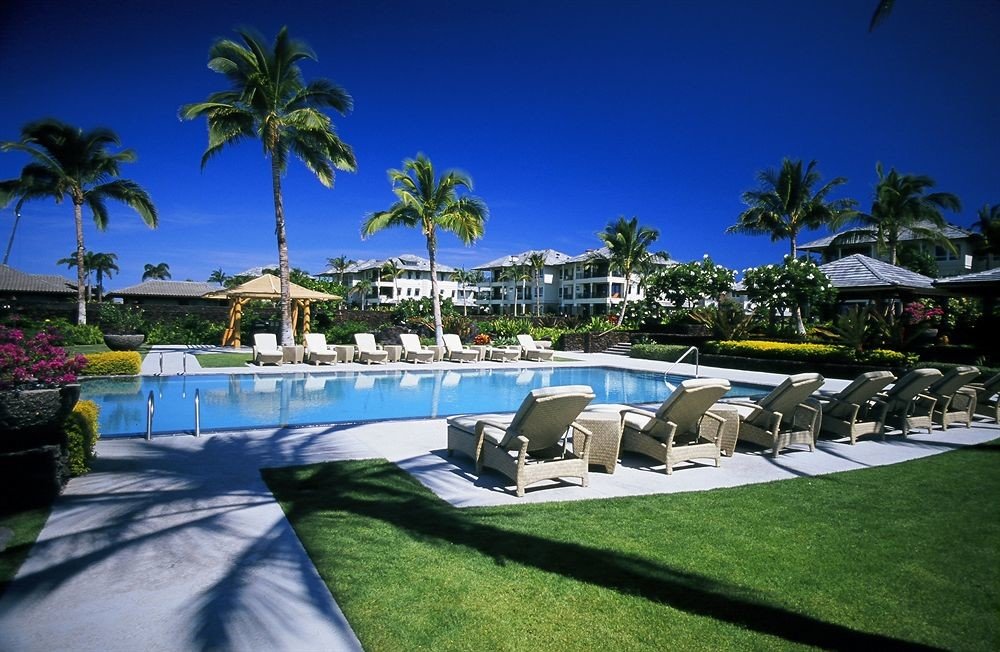 tree palm leisure swimming pool property Resort Villa Pool caribbean mansion marina shade lined