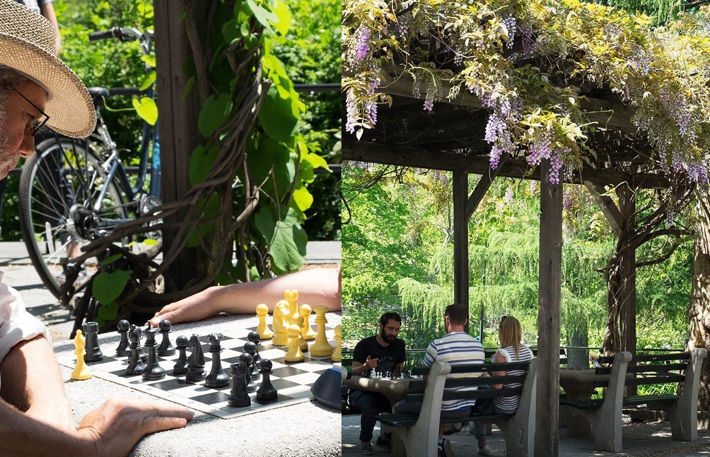 Travel Tips tree outdoor person flower Garden games restaurant