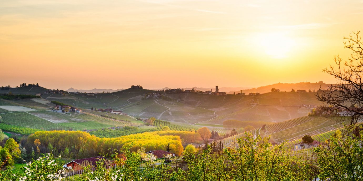 Food + Drink Hotels Italy Luxury Travel Trip Ideas sky outdoor grass Nature field morning dawn hill sunlight rural area landscape evening tree hill station grassland sunrise agriculture meadow mount scenery plain Sun Farm Sunset setting horizon mountain plant crop pasture lush highland